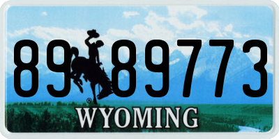 WY license plate 8989773