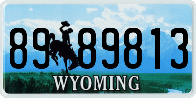 WY license plate 8989813