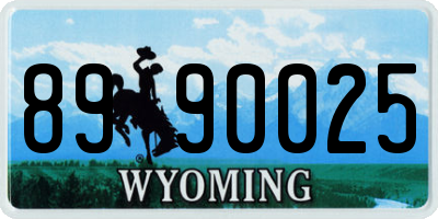 WY license plate 8990025