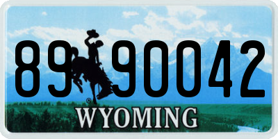 WY license plate 8990042