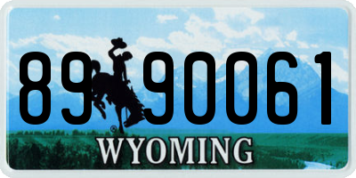 WY license plate 8990061