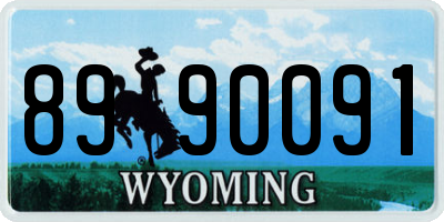 WY license plate 8990091