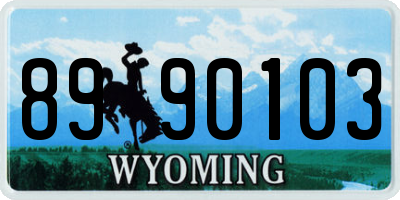 WY license plate 8990103