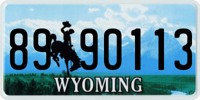 WY license plate 8990113