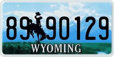 WY license plate 8990129