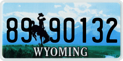 WY license plate 8990132