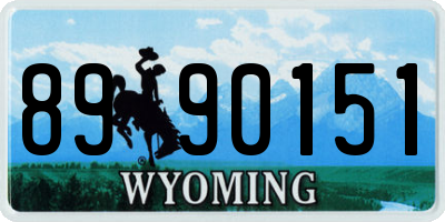 WY license plate 8990151
