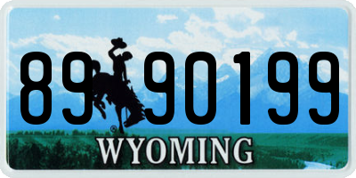 WY license plate 8990199