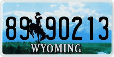 WY license plate 8990213