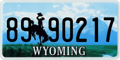 WY license plate 8990217