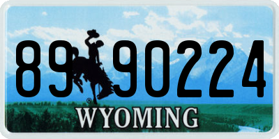 WY license plate 8990224
