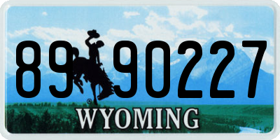 WY license plate 8990227