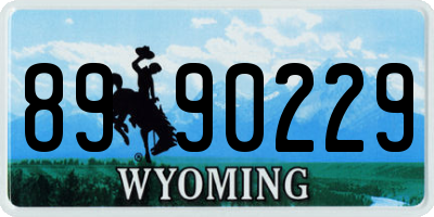 WY license plate 8990229
