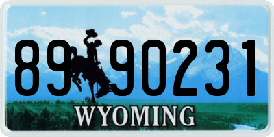 WY license plate 8990231