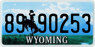 WY license plate 8990253