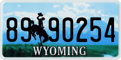 WY license plate 8990254