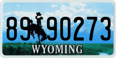WY license plate 8990273