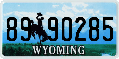 WY license plate 8990285