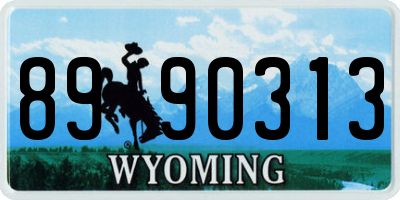 WY license plate 8990313