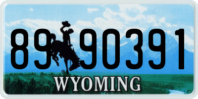 WY license plate 8990391