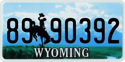 WY license plate 8990392