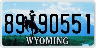 WY license plate 8990551