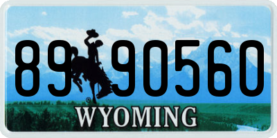 WY license plate 8990560