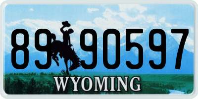 WY license plate 8990597