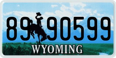 WY license plate 8990599