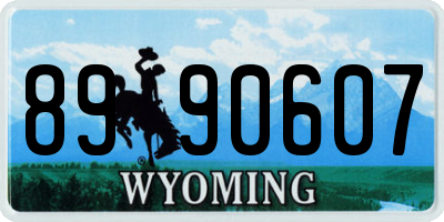 WY license plate 8990607
