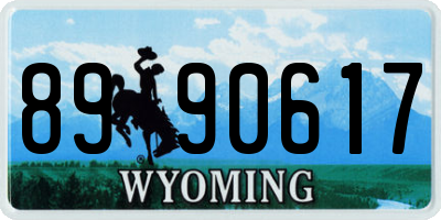 WY license plate 8990617