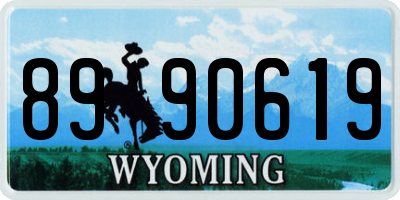 WY license plate 8990619
