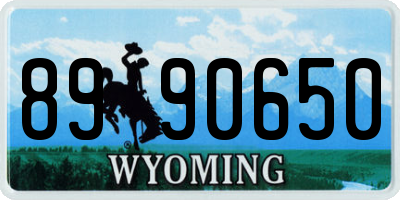 WY license plate 8990650