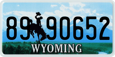 WY license plate 8990652