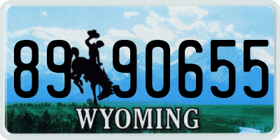 WY license plate 8990655