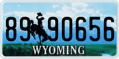 WY license plate 8990656