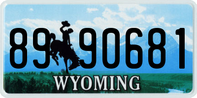 WY license plate 8990681