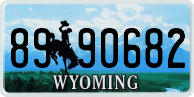 WY license plate 8990682