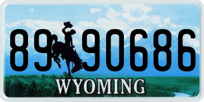 WY license plate 8990686