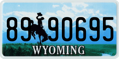 WY license plate 8990695