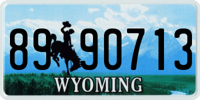 WY license plate 8990713