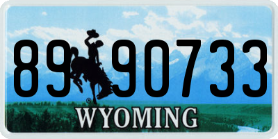 WY license plate 8990733