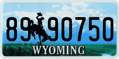 WY license plate 8990750