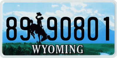 WY license plate 8990801