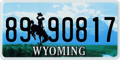 WY license plate 8990817
