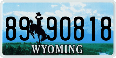 WY license plate 8990818