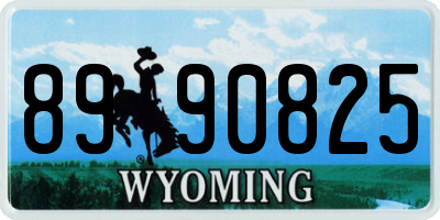 WY license plate 8990825