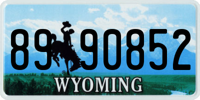 WY license plate 8990852