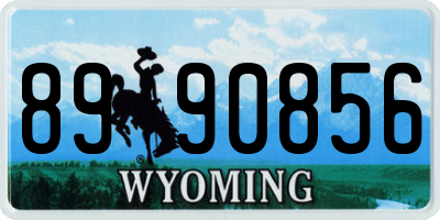 WY license plate 8990856