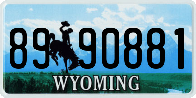 WY license plate 8990881